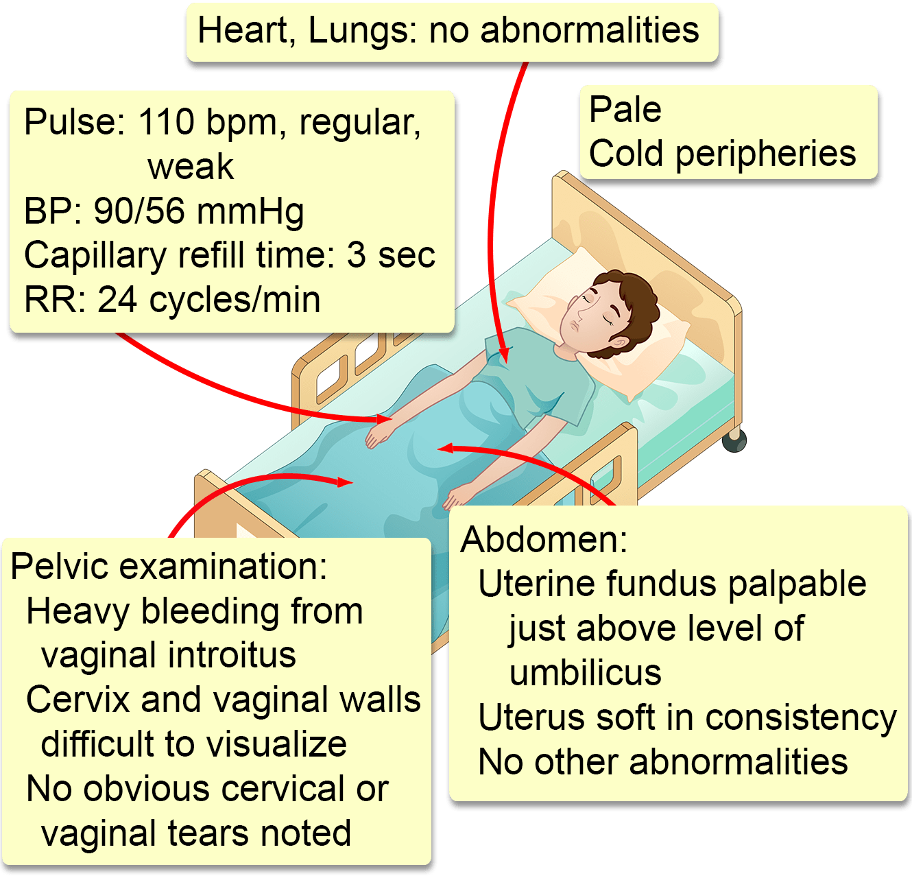 Postpartum Hemorrhage Interactive Case Study Clinical Odyssey By 