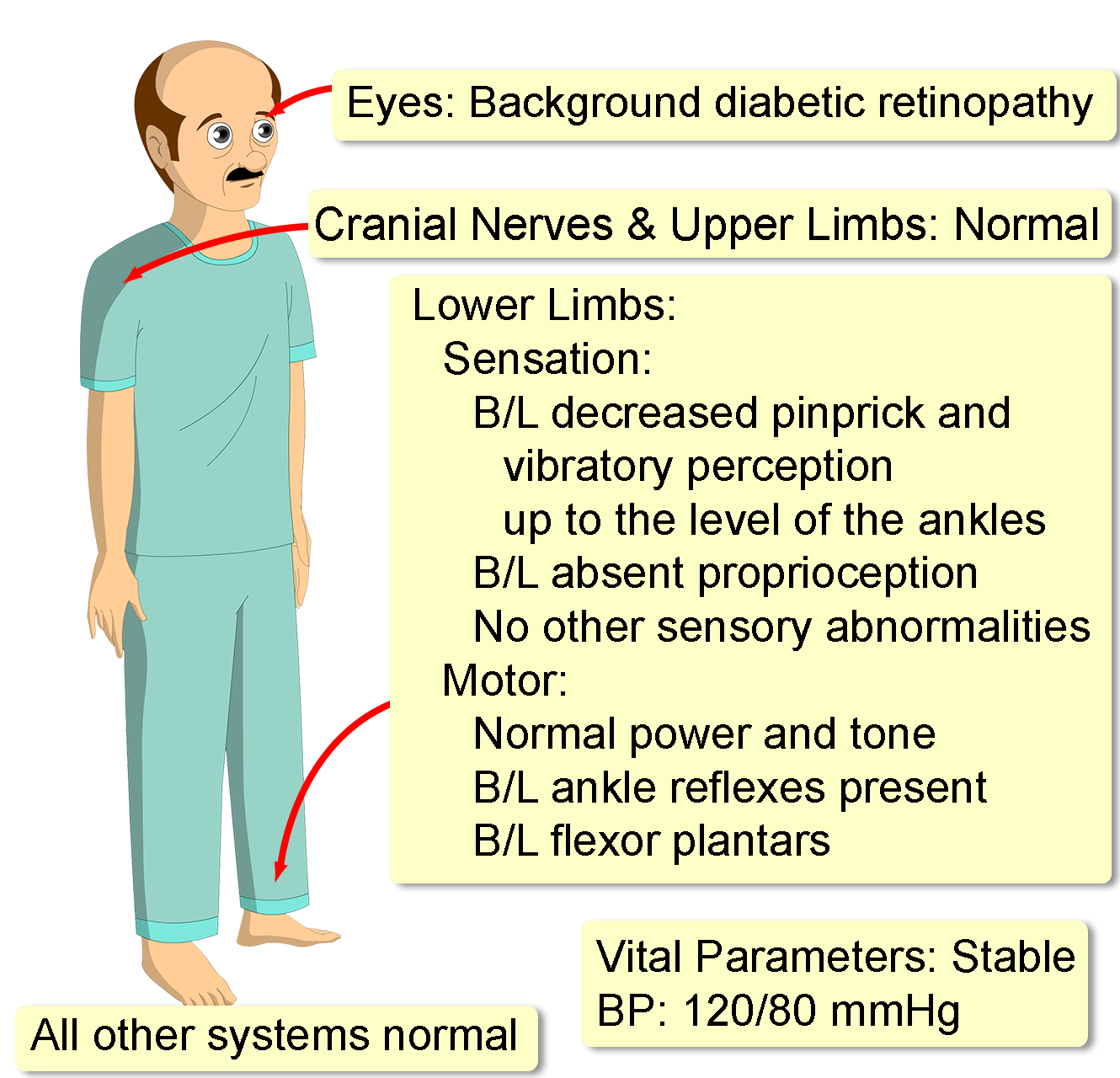 peripheral-neuropathy-b12-deficiency-interactive-case-study