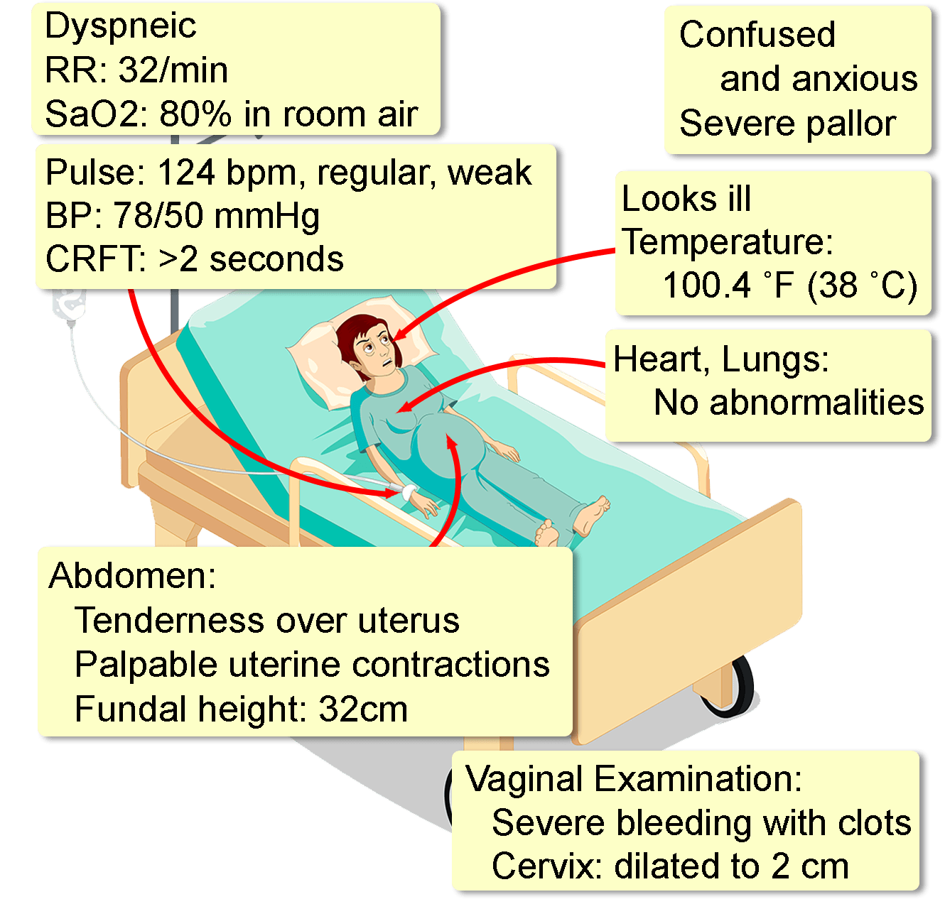 medical-root-words-hot-sex-picture