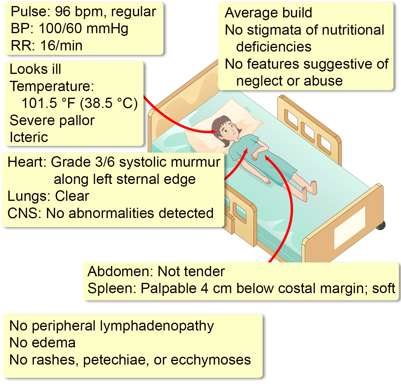 anemia patient case study